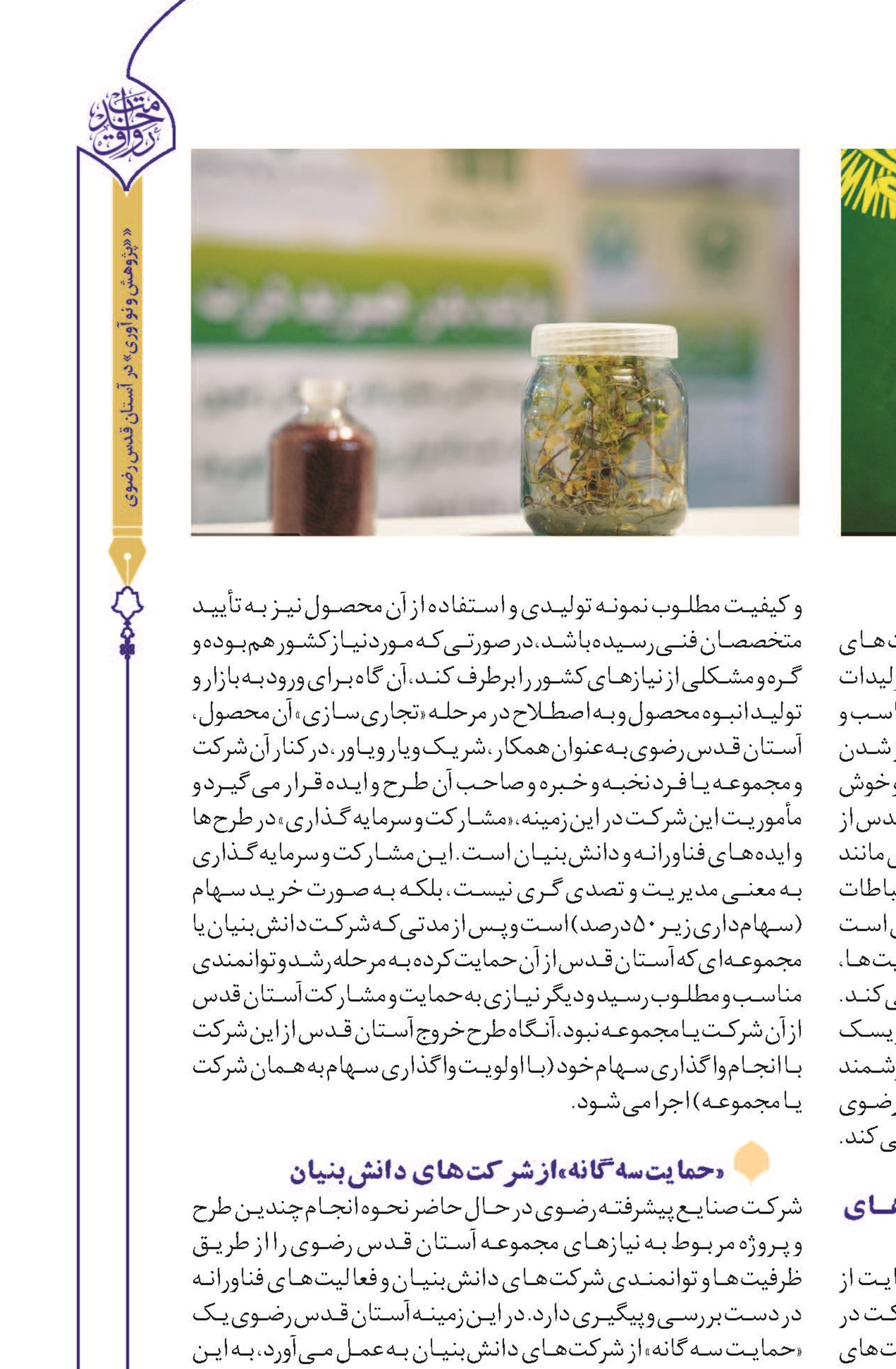 پذیرش ریسک «سرمایه گذاری خطرپذیر»
