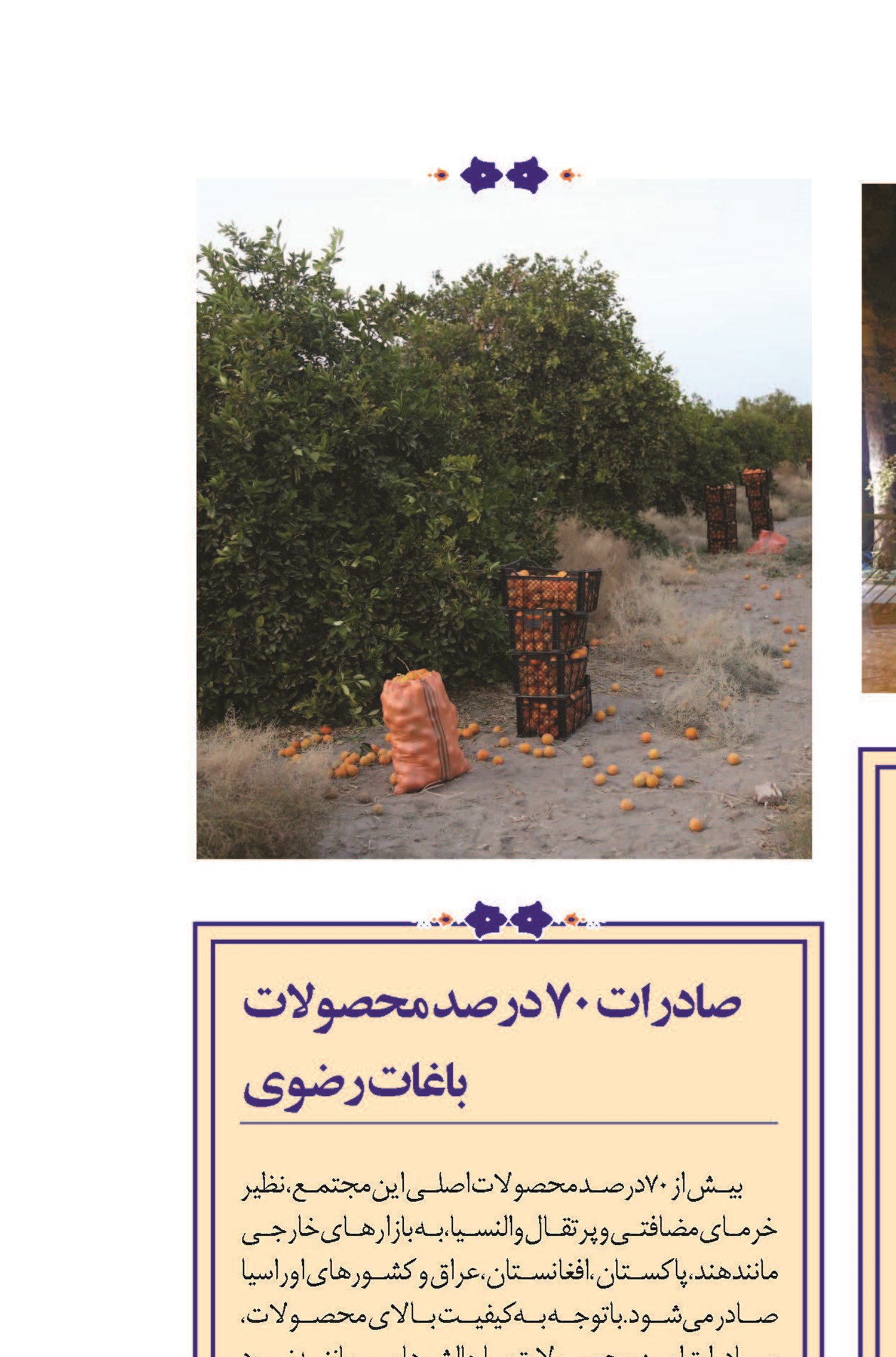 میزبانی از خانواده بیماران زائر در «سرای همراه»