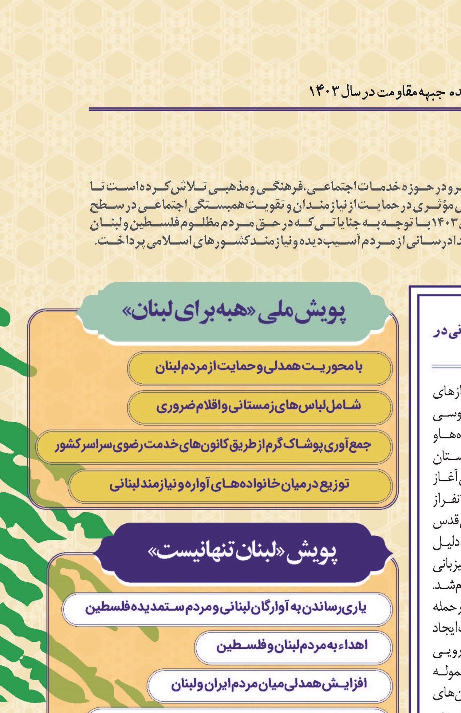 در پناه امام رئوف