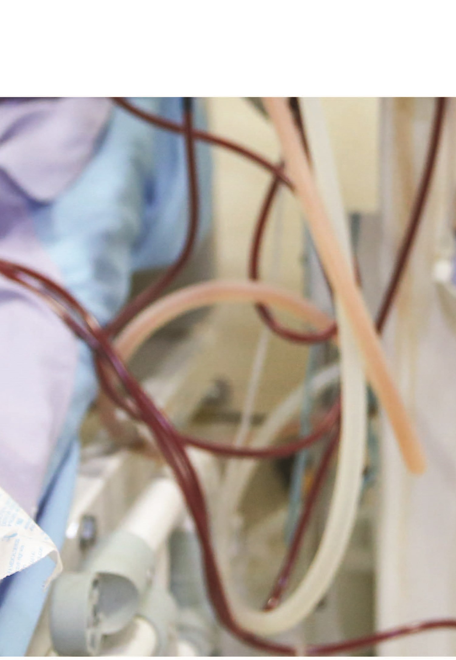 فصل پانزدهم: نایب‌الزیاره