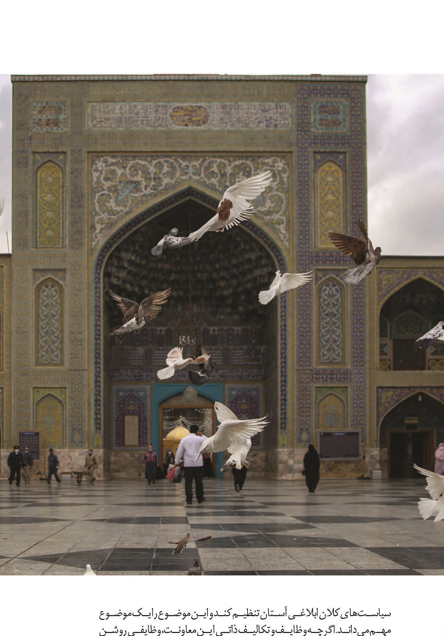 شیوه برخورد با معضلات و مشکلات حقوقی